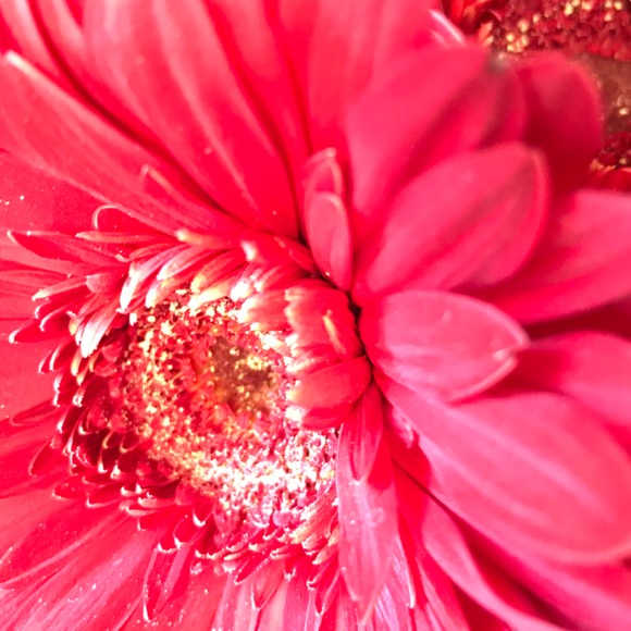 Meet your Posher, Alexandra - Picture 1 of 1